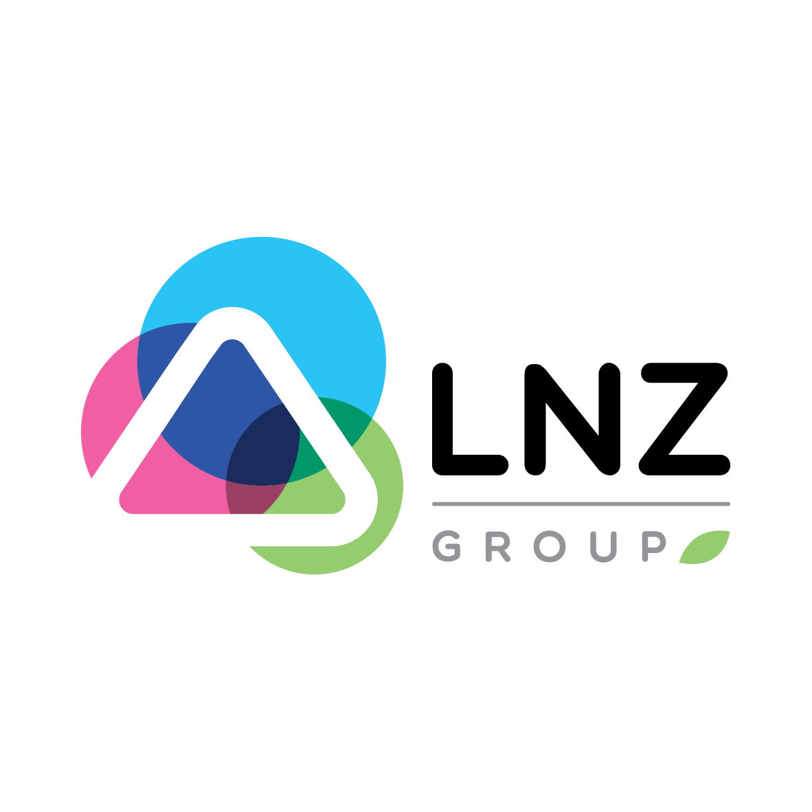 LNZ Group Logo